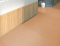 Tarkett iq Melodia 2643 фото 2 | FLOORDEALER